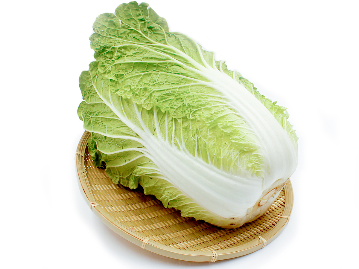 白菜 - HIDAICHI（ヒダイチ）飛騨市公式 食の情報サイト