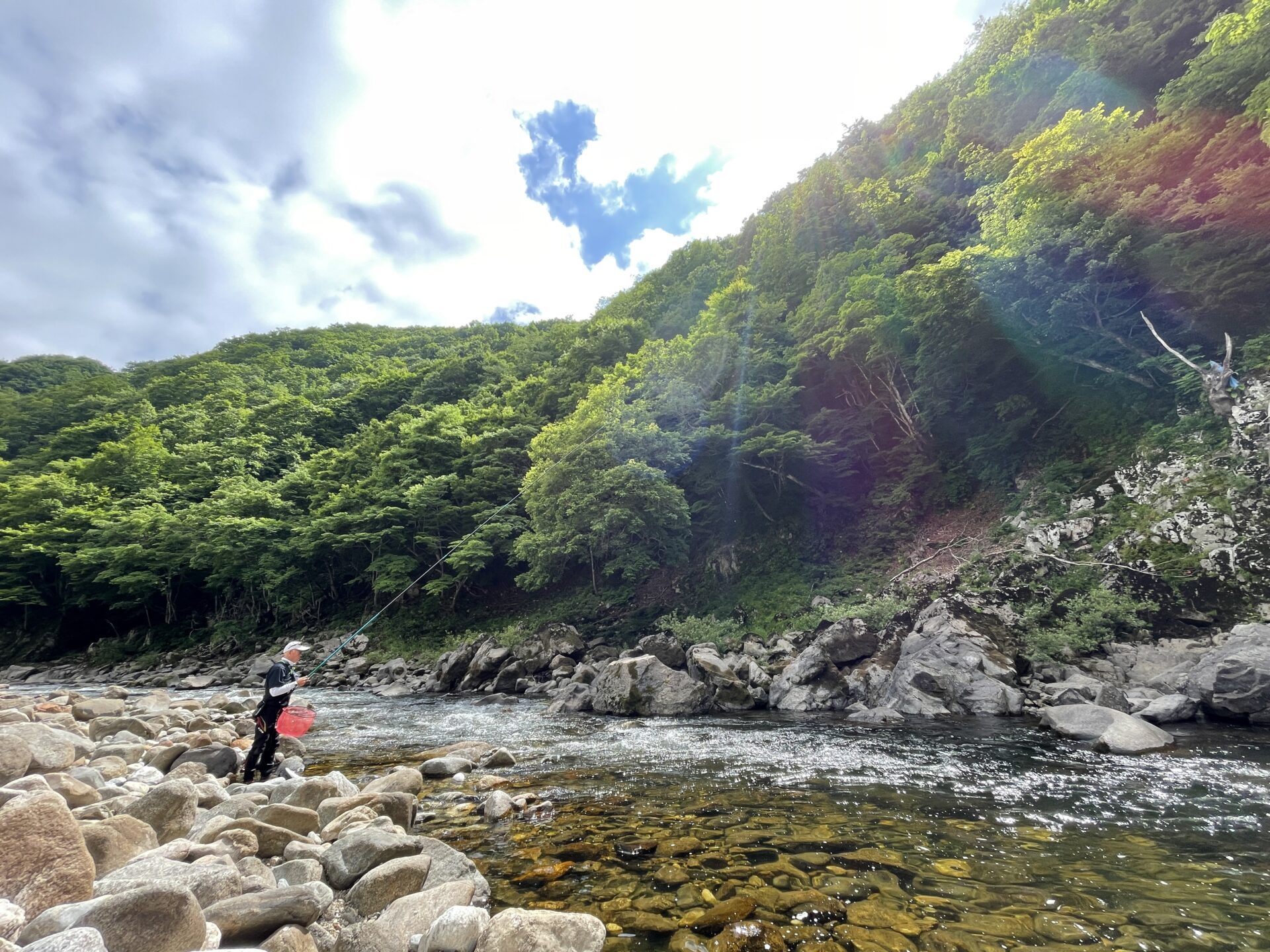 飛騨清流みやがわ鮎 - HIDAICHI（ヒダイチ）飛騨市公式 食の情報サイト