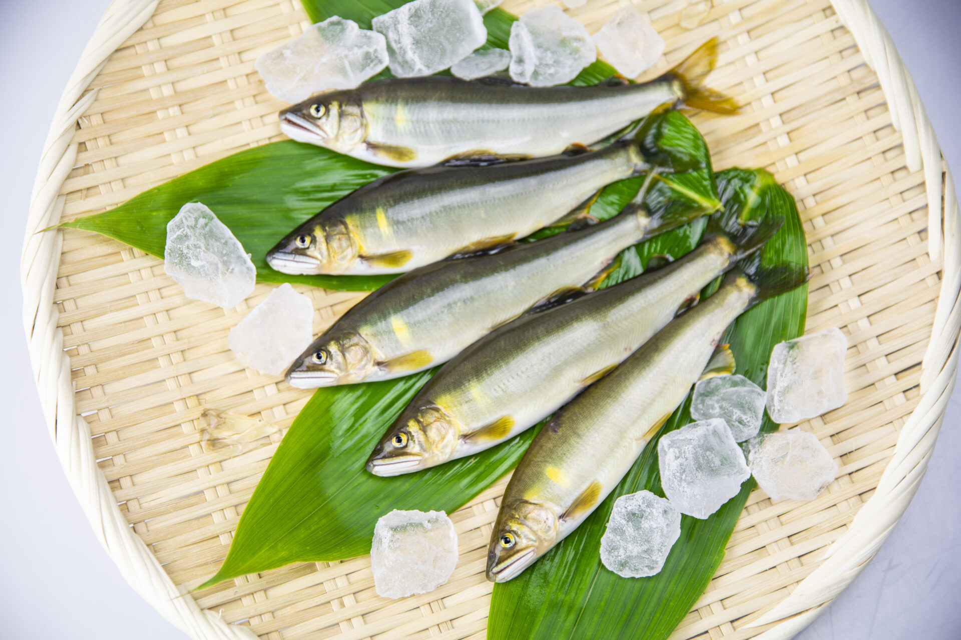 鮎 - HIDAICHI（ヒダイチ）飛騨市公式 食の情報サイト
