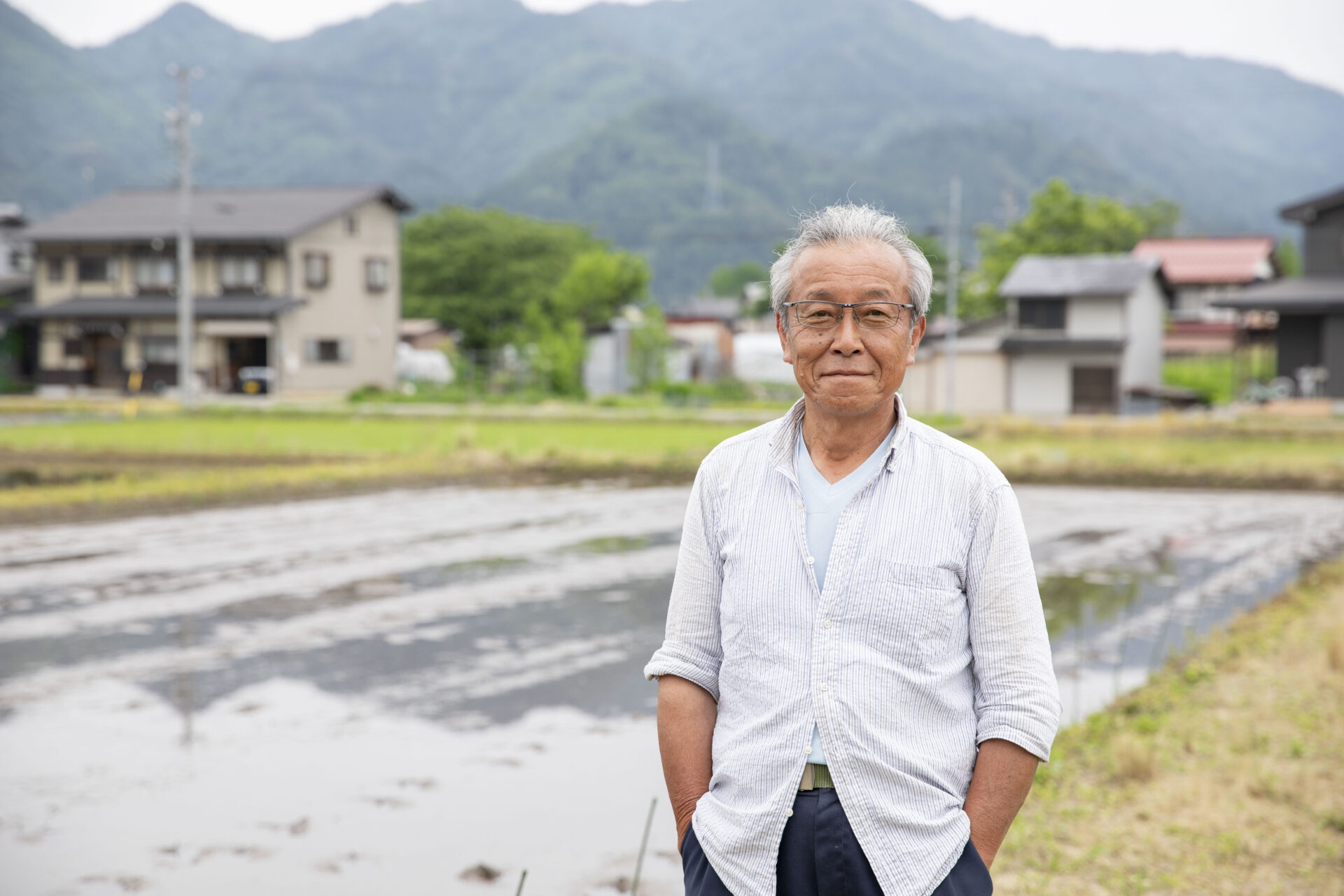 飛騨市産のプレミアム米